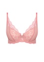 Rosalie Push Up Bra
